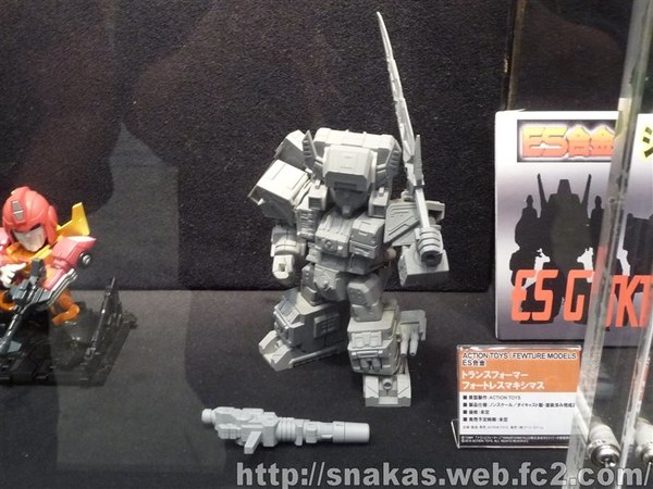 Summer Wonderfest 2015   Diaclone Reboot, Masterpiece, Blackarachania, Gokin Transformers, More Images  (40 of 70)